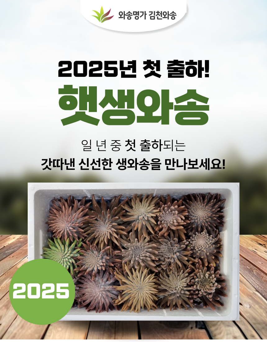 6750a7194d8ad3f6be76fa9371d93d8d_1747215028_91.png