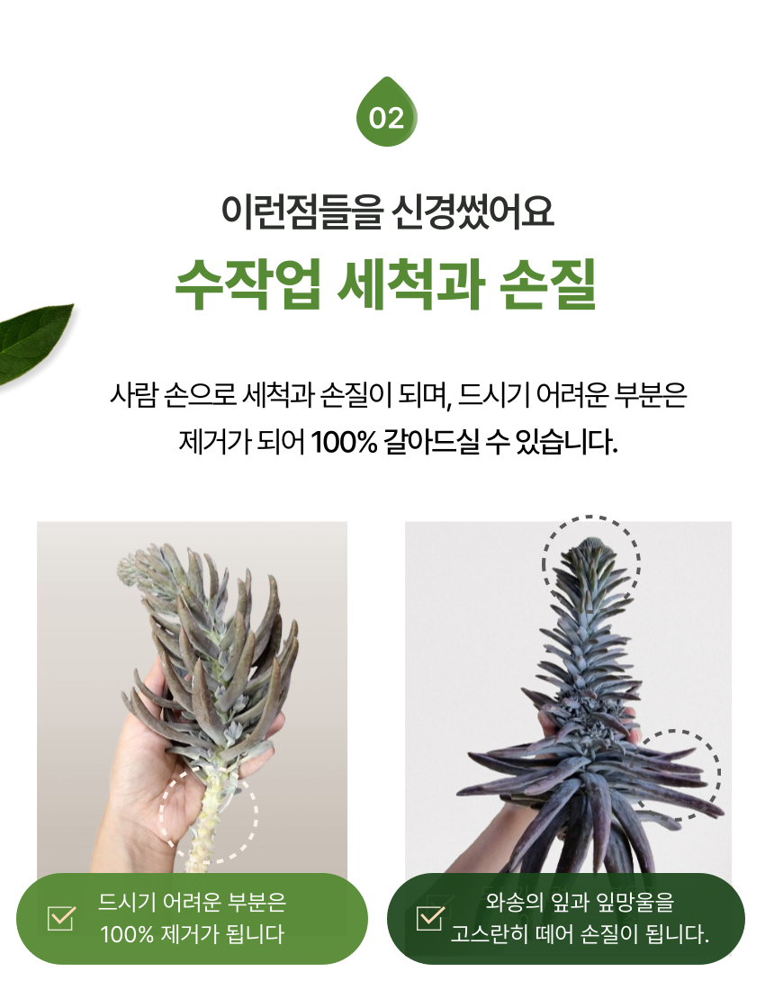 aef9c89daca2fb08734be55ee16cfa90_1762413104_62.png aef9c89daca2fb08734be55ee16cfa90_1762413104_62.png