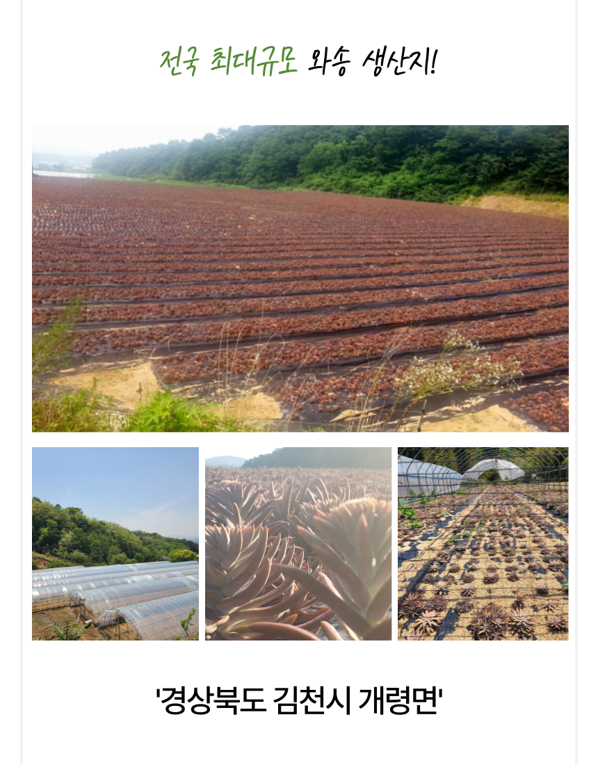 aef9c89daca2fb08734be55ee16cfa90_1762413121_43.png aef9c89daca2fb08734be55ee16cfa90_1762413121_43.png