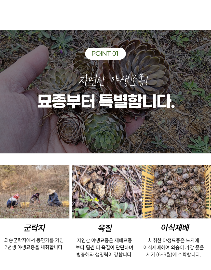 aef9c89daca2fb08734be55ee16cfa90_1762413122_33.png aef9c89daca2fb08734be55ee16cfa90_1762413122_33.png