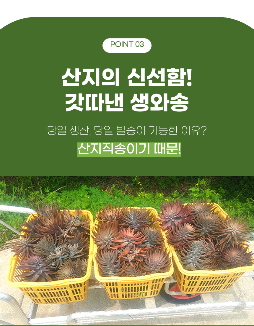 aef9c89daca2fb08734be55ee16cfa90_1762413123.png aef9c89daca2fb08734be55ee16cfa90_1762413123.png