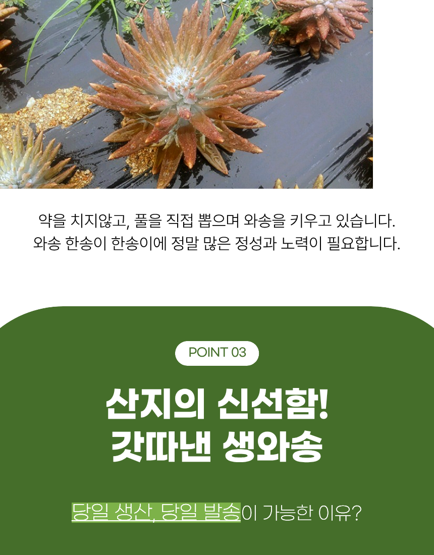 dd0d03c1264312e5d1d715d63f017859_1779960364_32.png